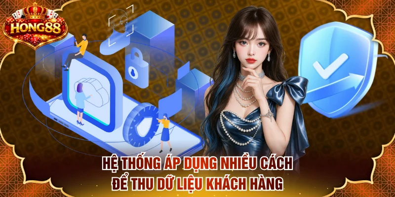 Hệ thống áp dụng nhiều cách để thu thập dữ liệu khách hàng