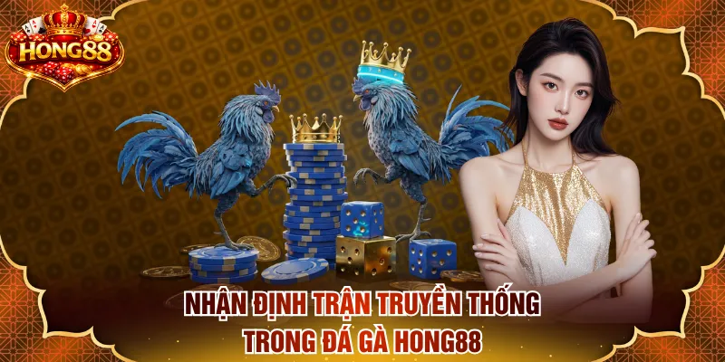 Nhận định trận truyền thống trong đá gà HONG88