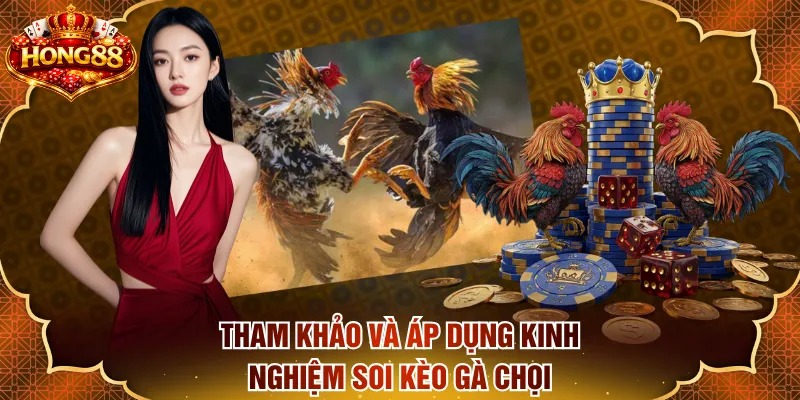 Tham khảo và áp dụng kinh nghiệm soi kèo gà chọi