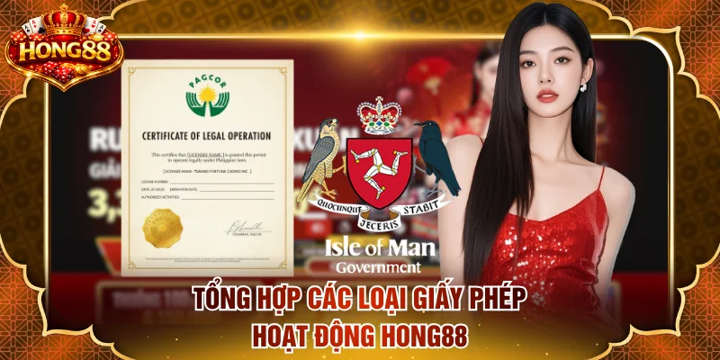 Tổng hợp các loại giấy phép hoạt động HONG88